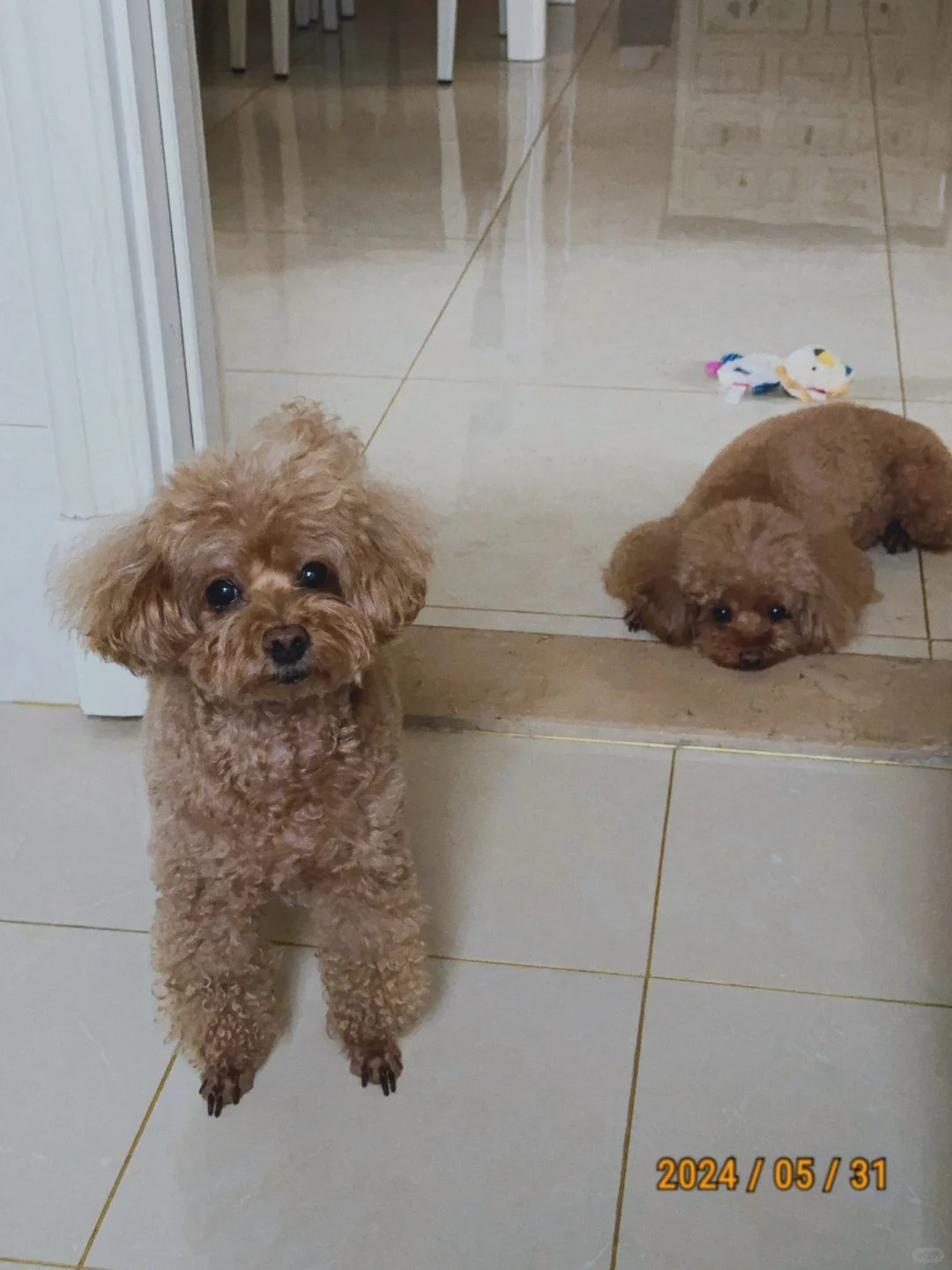 两款APP拍出来的胶片感～