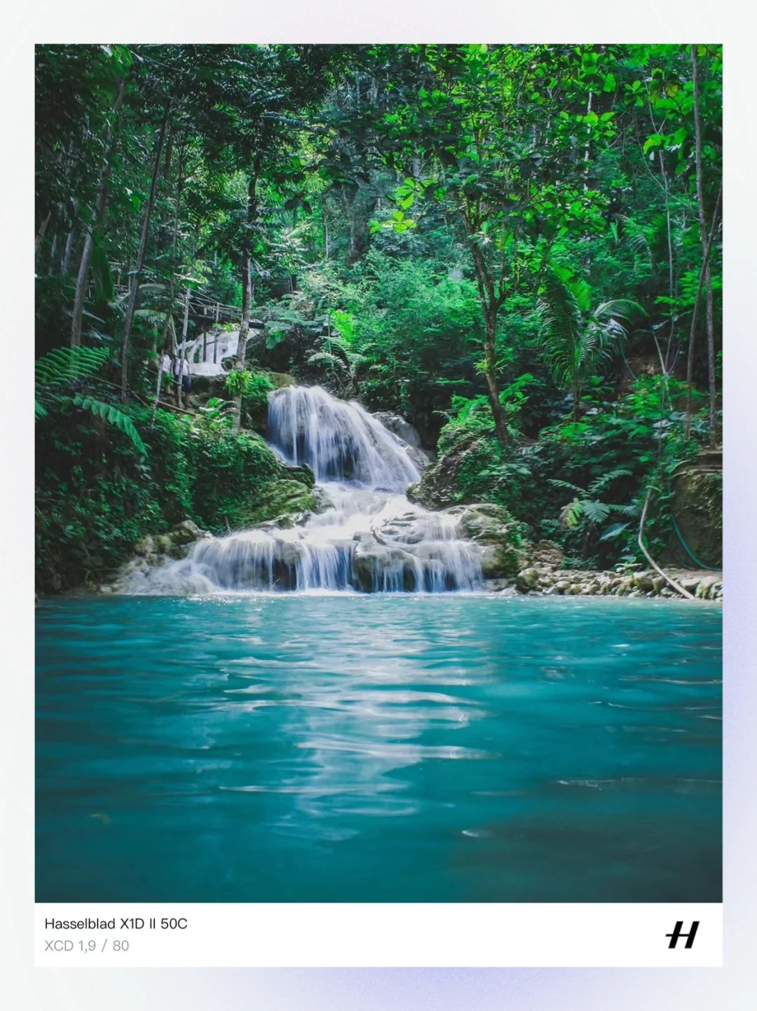 我偷偷上架了一款新App