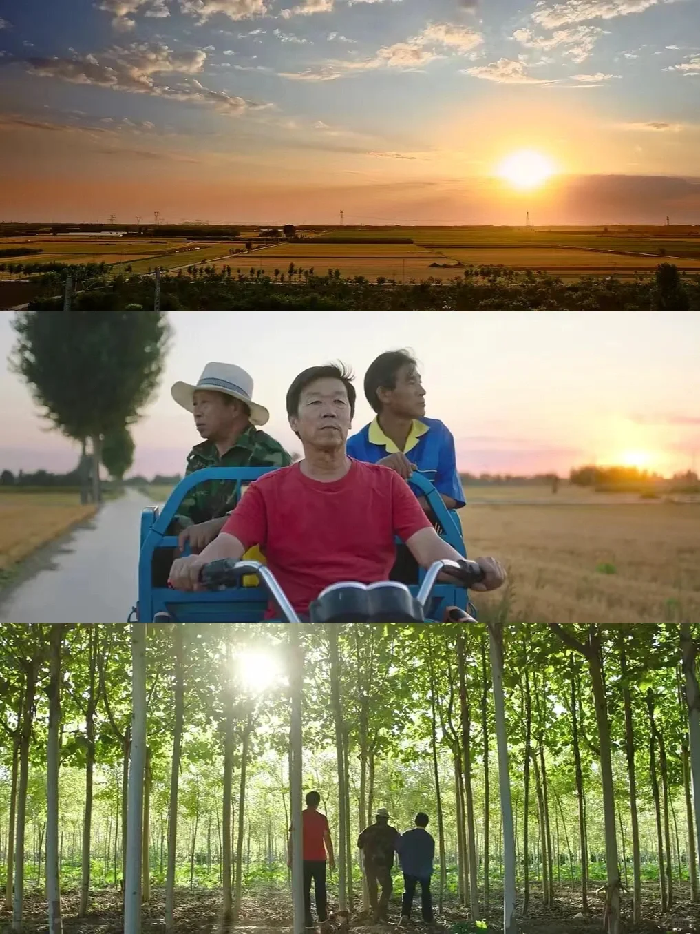 被忽略的小众高分电影❗️平原上的夏洛克