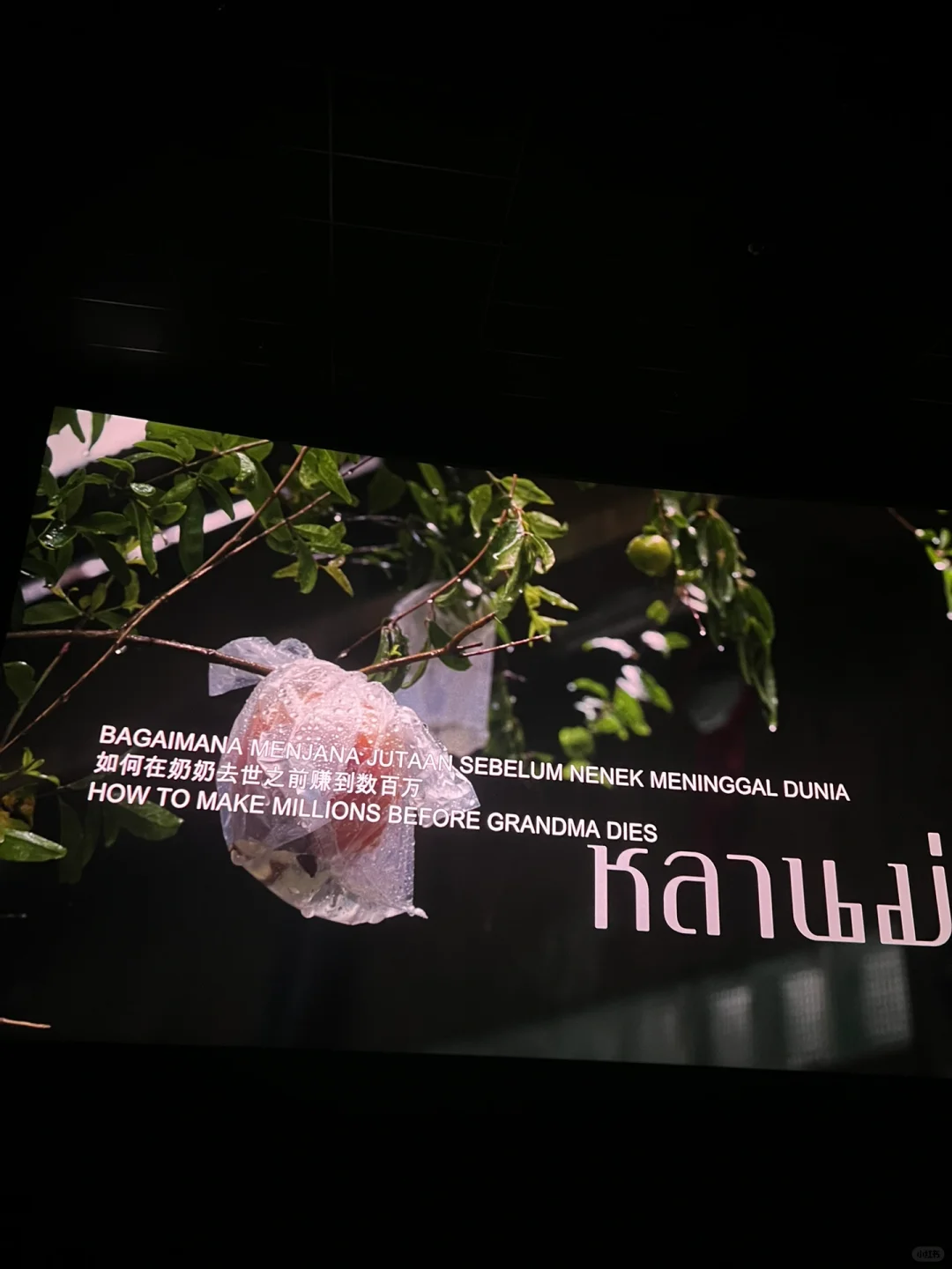 电影 【姥姥的外孙👵】 很好哭😭🇲🇾