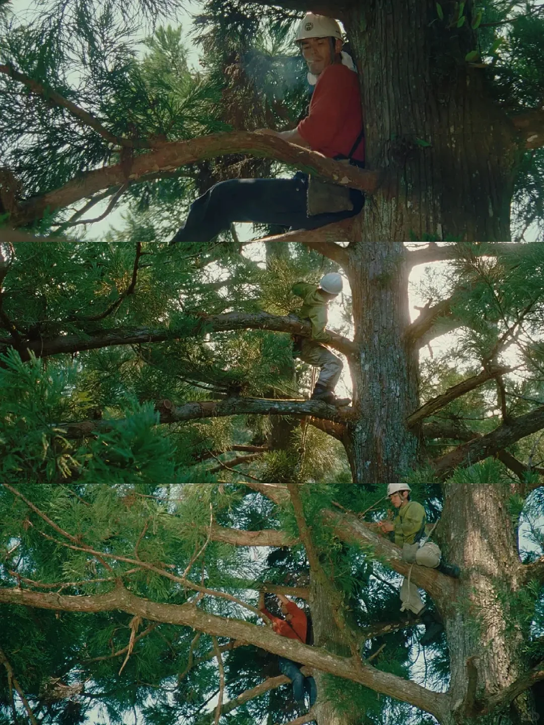 堪比小森林的电影😭看800遍都不够❗❗❗