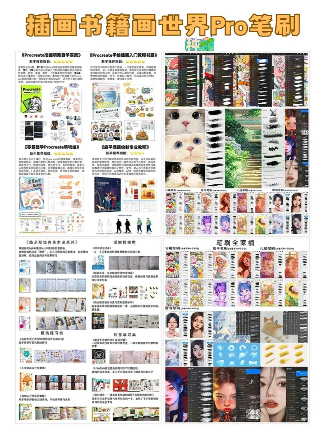 画世界Pro入门学插画，练完这些就OK❗