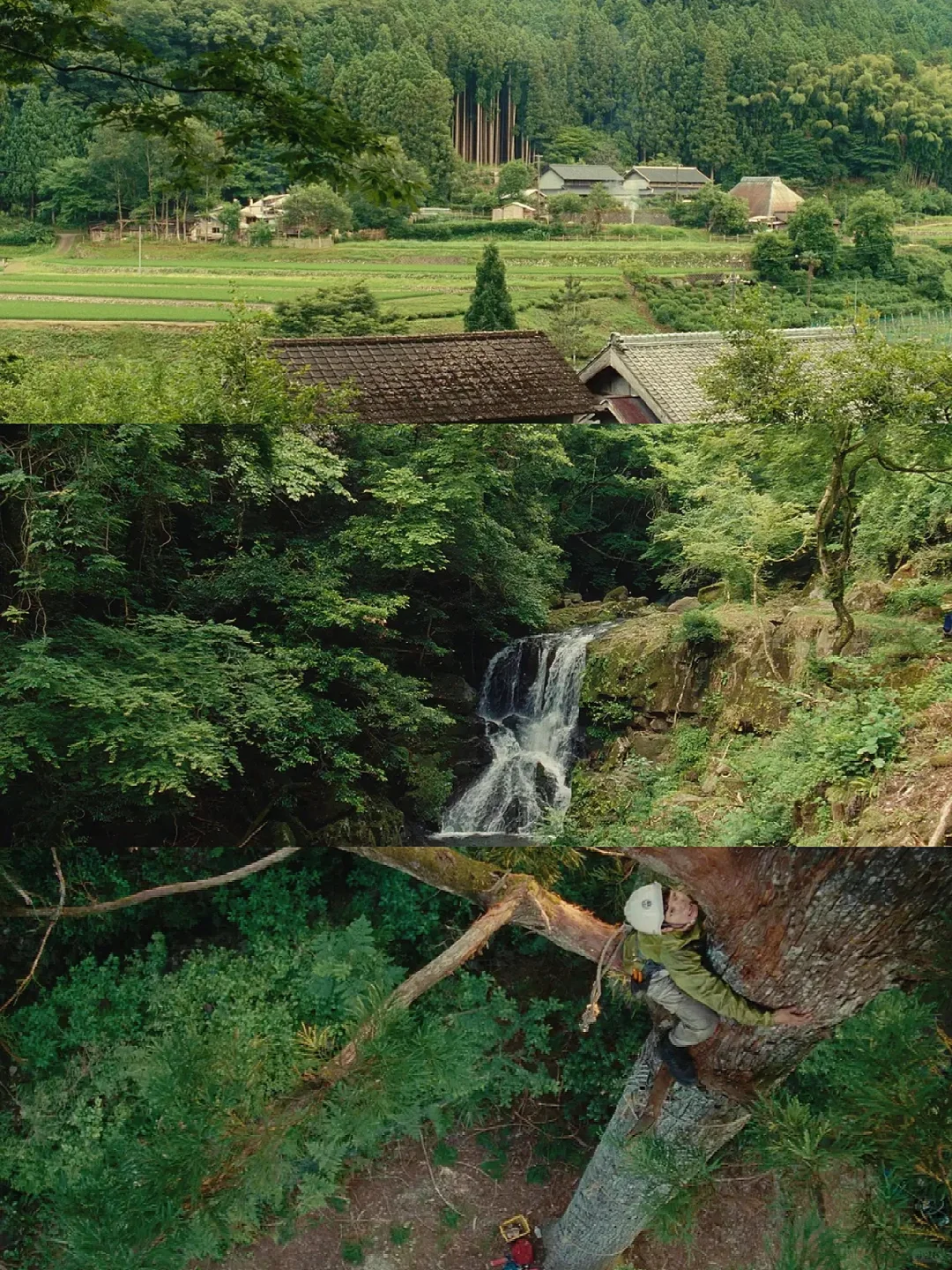 堪比小森林的电影😭看800遍都不够❗❗❗