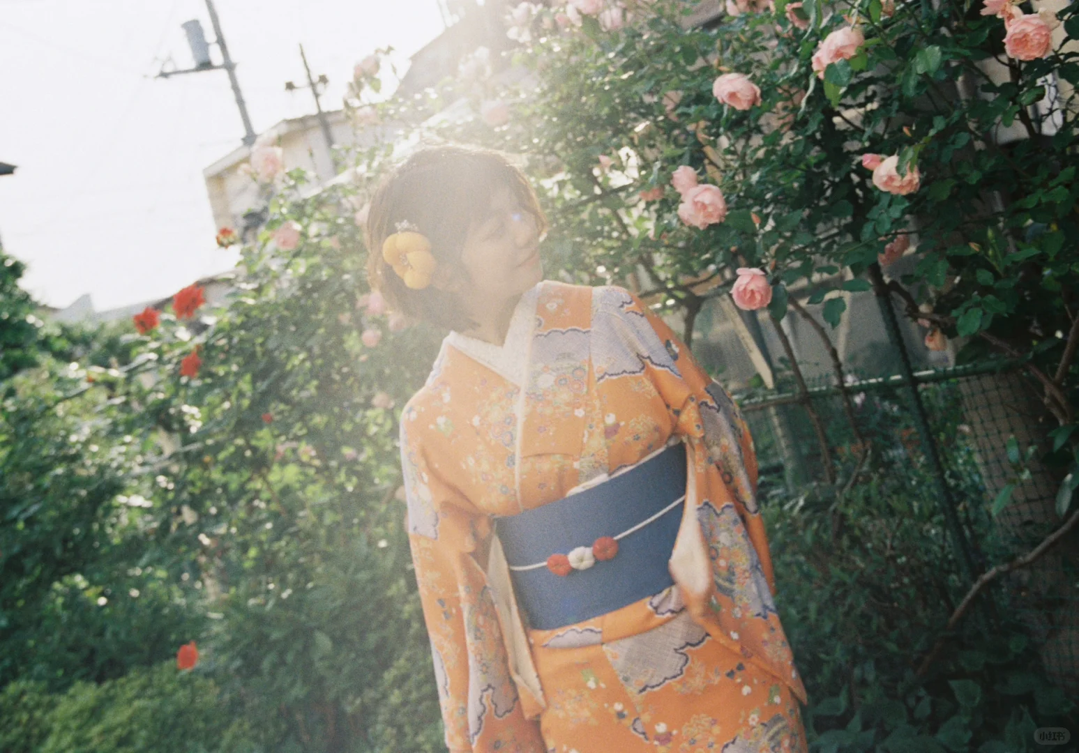 Tokyo 和服写真｜橘子汽水的夏天 滋～