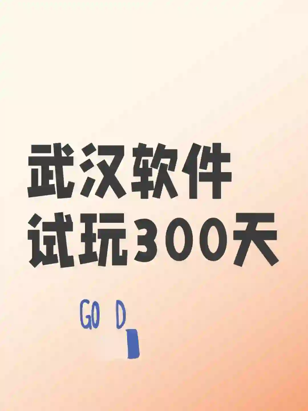 武汉软件试玩 300天