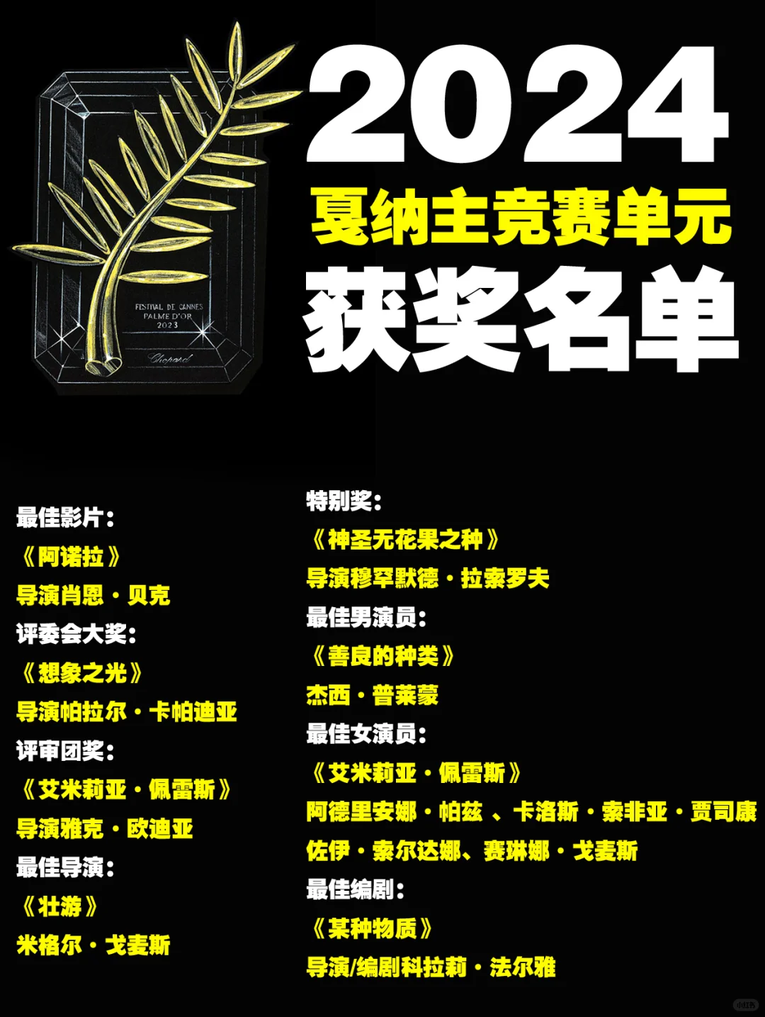 2024戛纳电影节主竞赛单元获奖名单