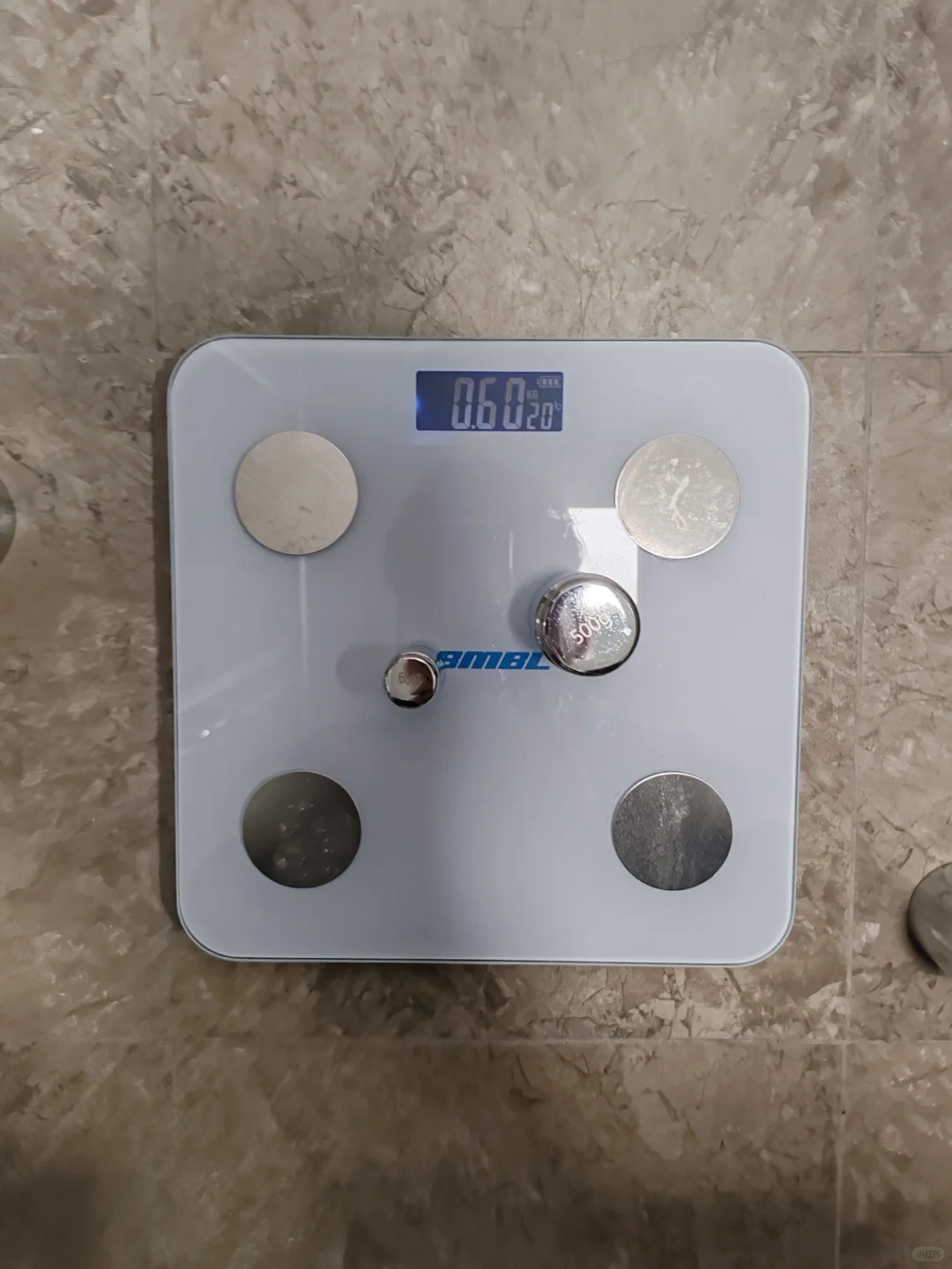 体脂秤软件太香了