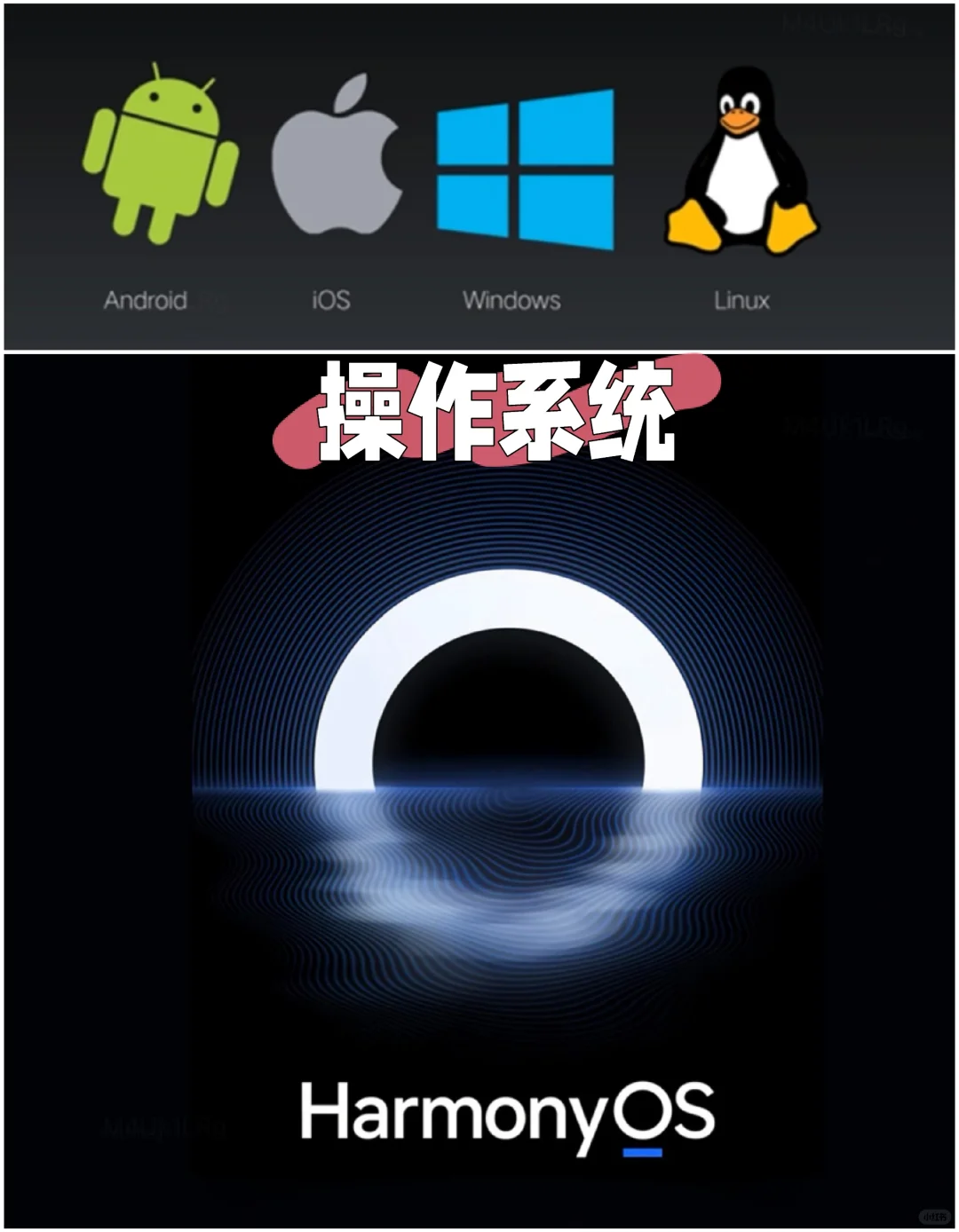 软件的世界(一)什么是软件