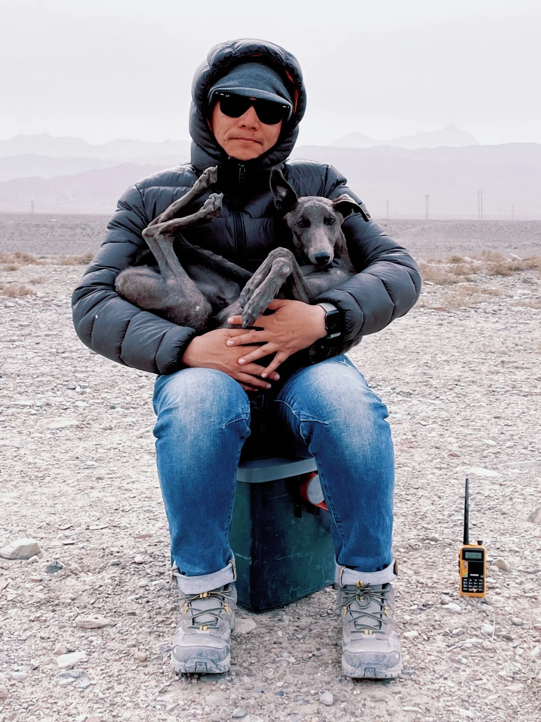 我们带着100只狗狗拍摄一部戛纳获奖电影