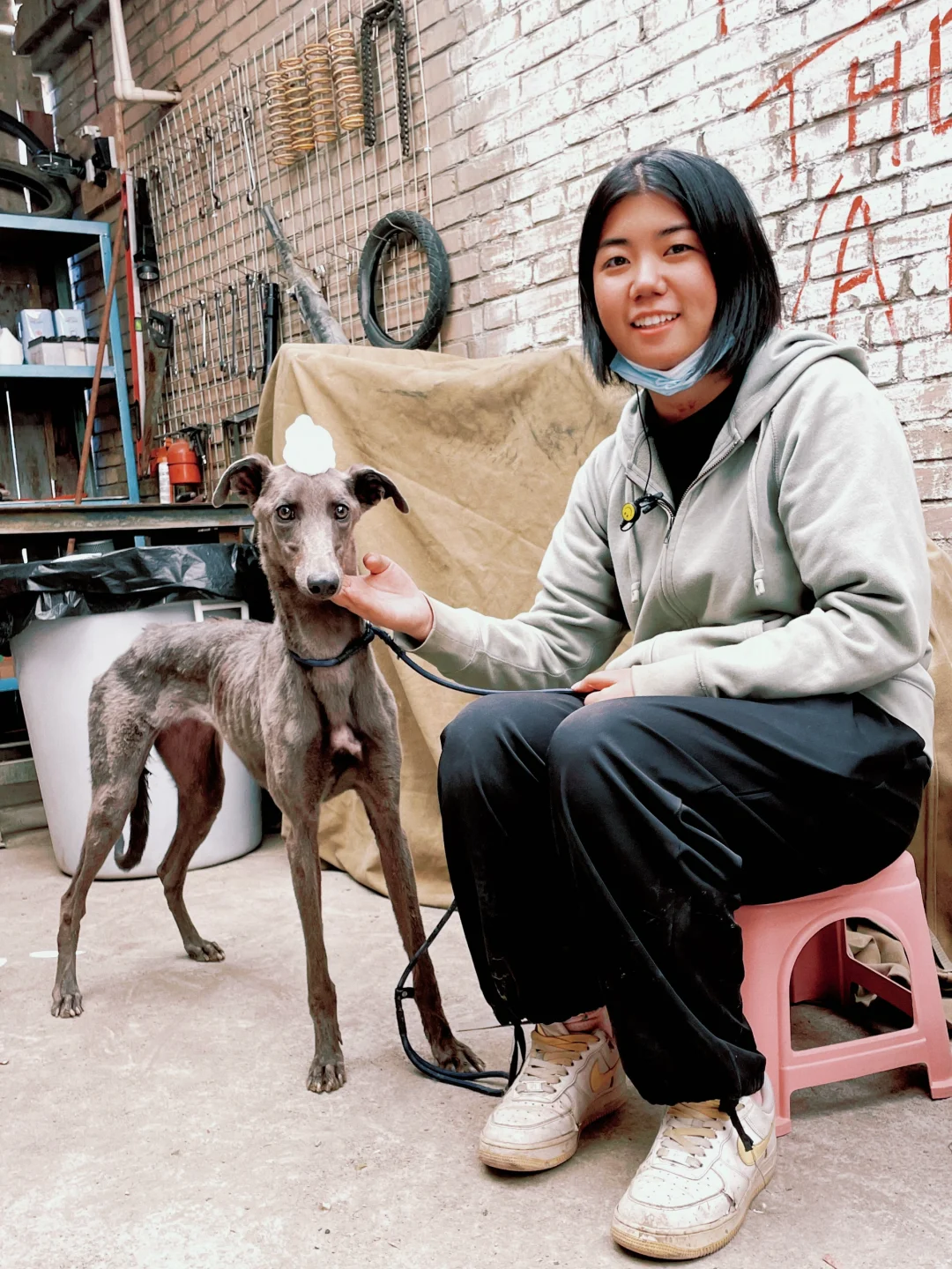 我们带着100只狗狗拍摄一部戛纳获奖电影