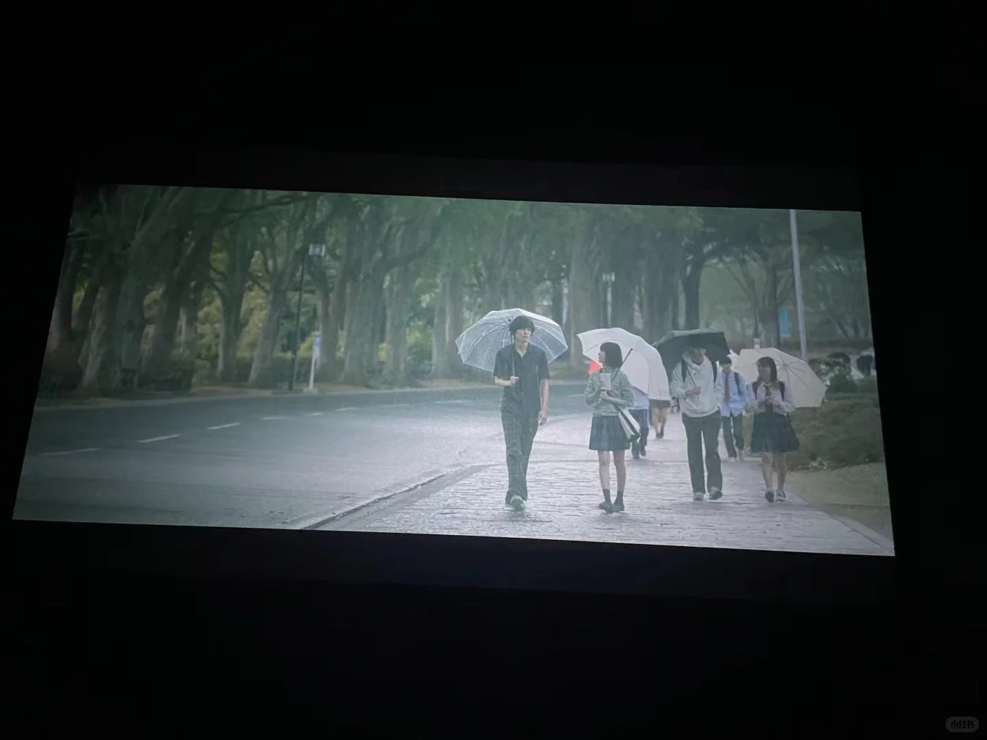 520去看的电影🎬，真的很不错看。