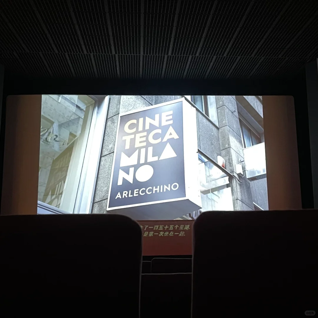 🎥 去电影院看天使堕落，