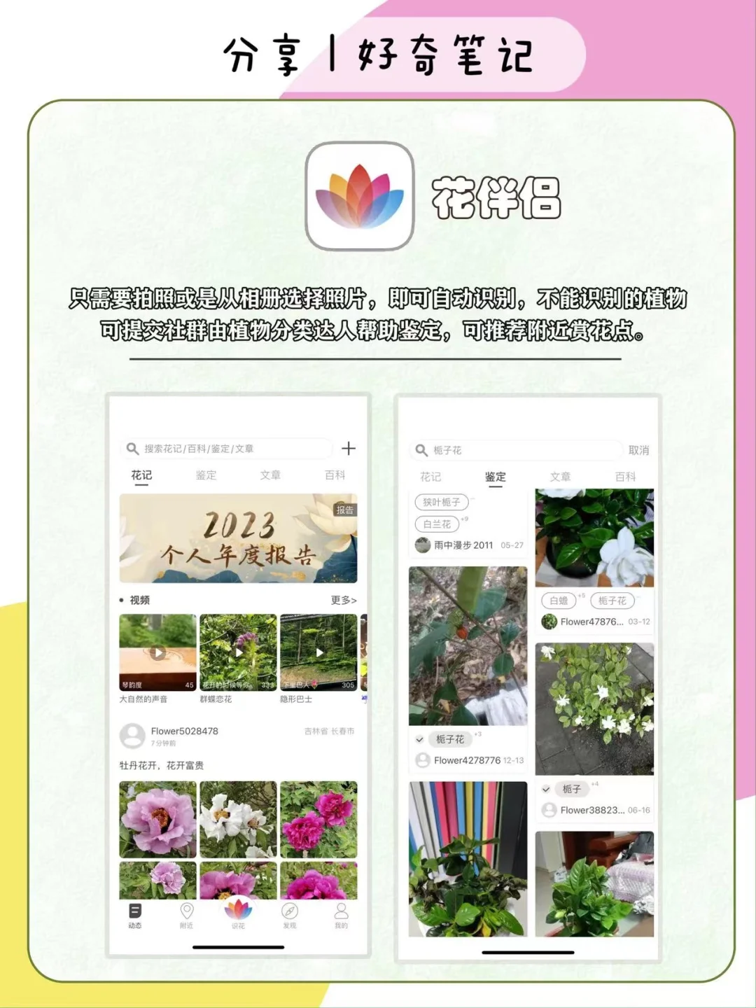 家长收藏！16个户外遛娃&科学启蒙宝藏APP