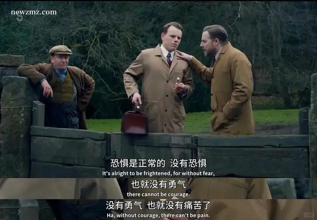 电影推荐《万物生灵》