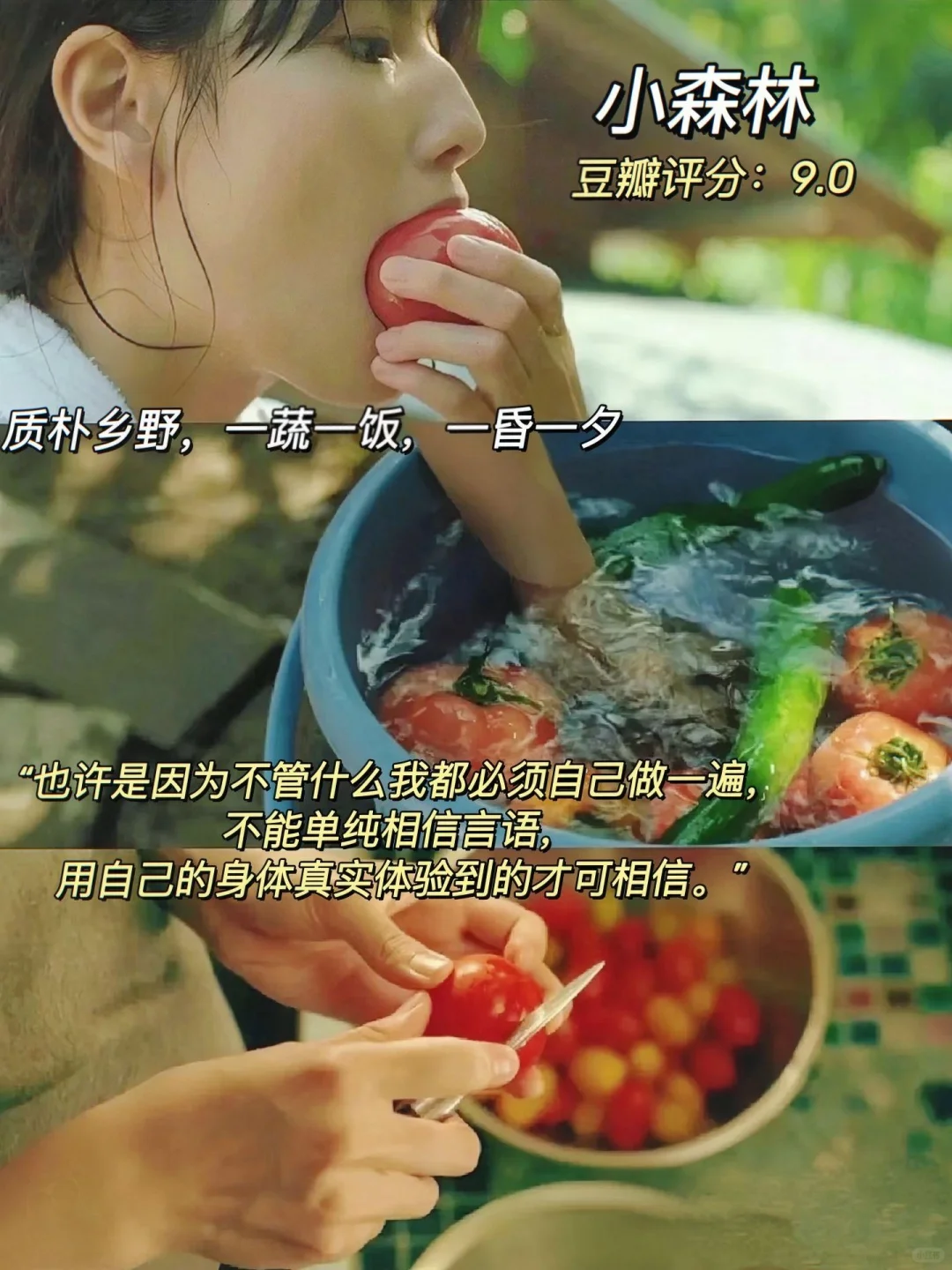 容易内耗的一定要看的电影