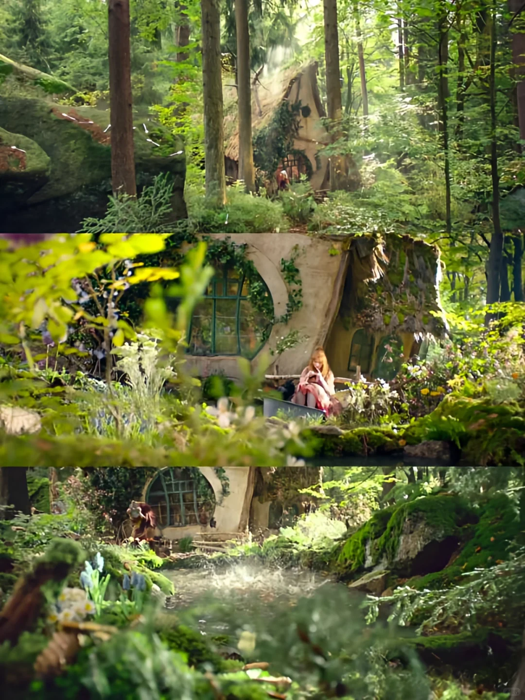 绝了,这么好看的电影我怎么才发现😭