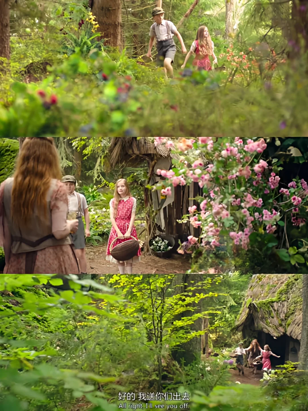 绝了,这么好看的电影我怎么才发现😭