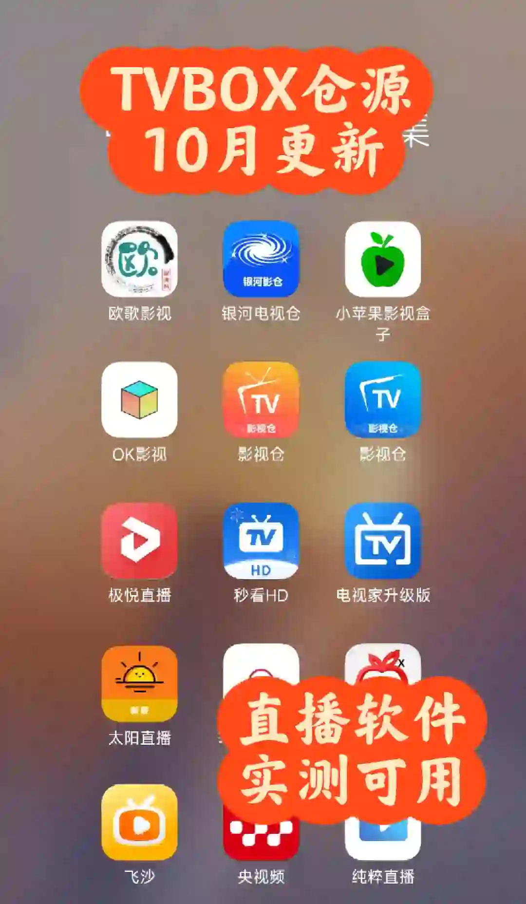 ブランド通販 TVBOX影视仓最新接口和软件-夜雨聆风 その他