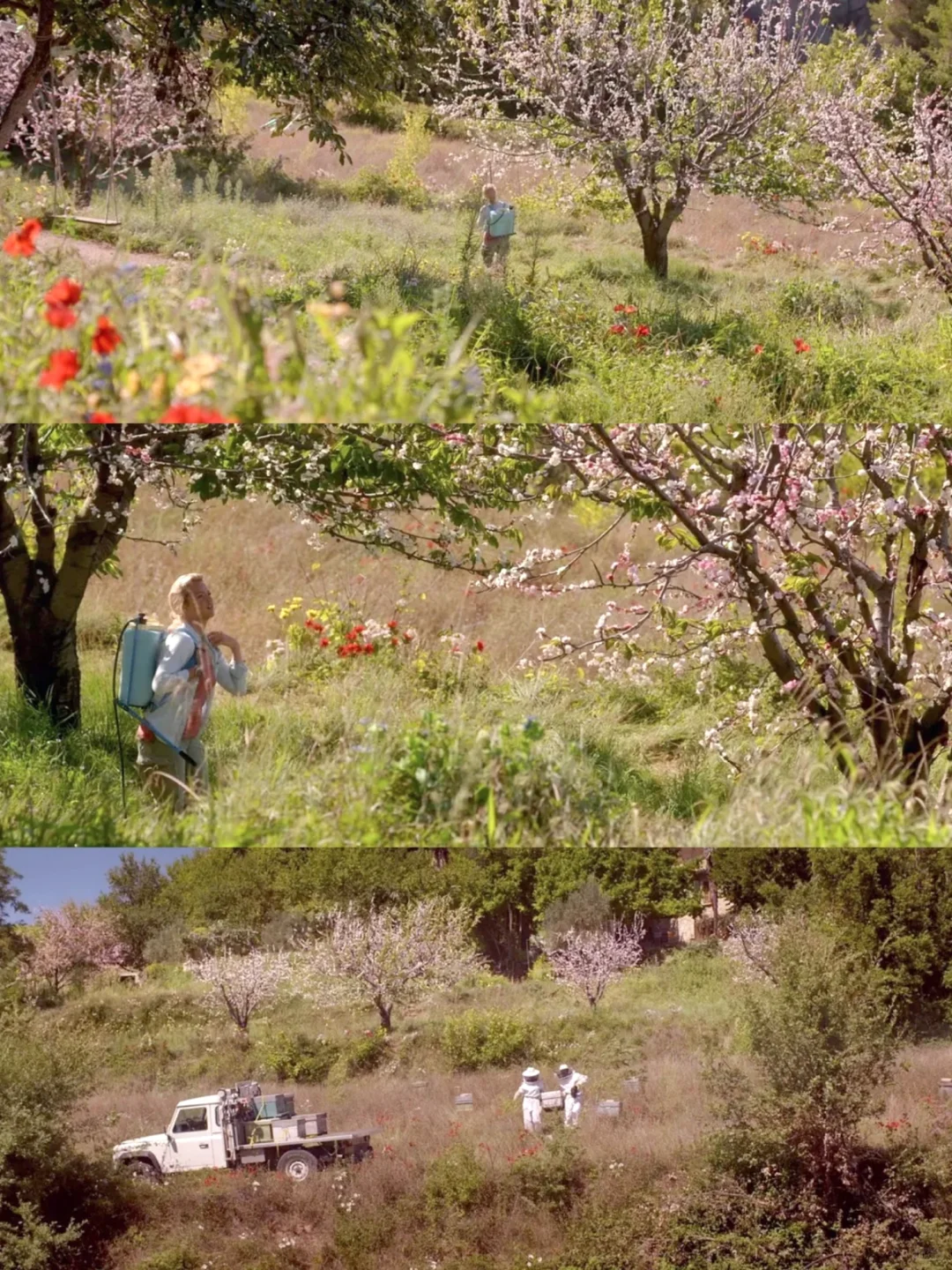 我最爱的人生电影😭😭没有之一‼️