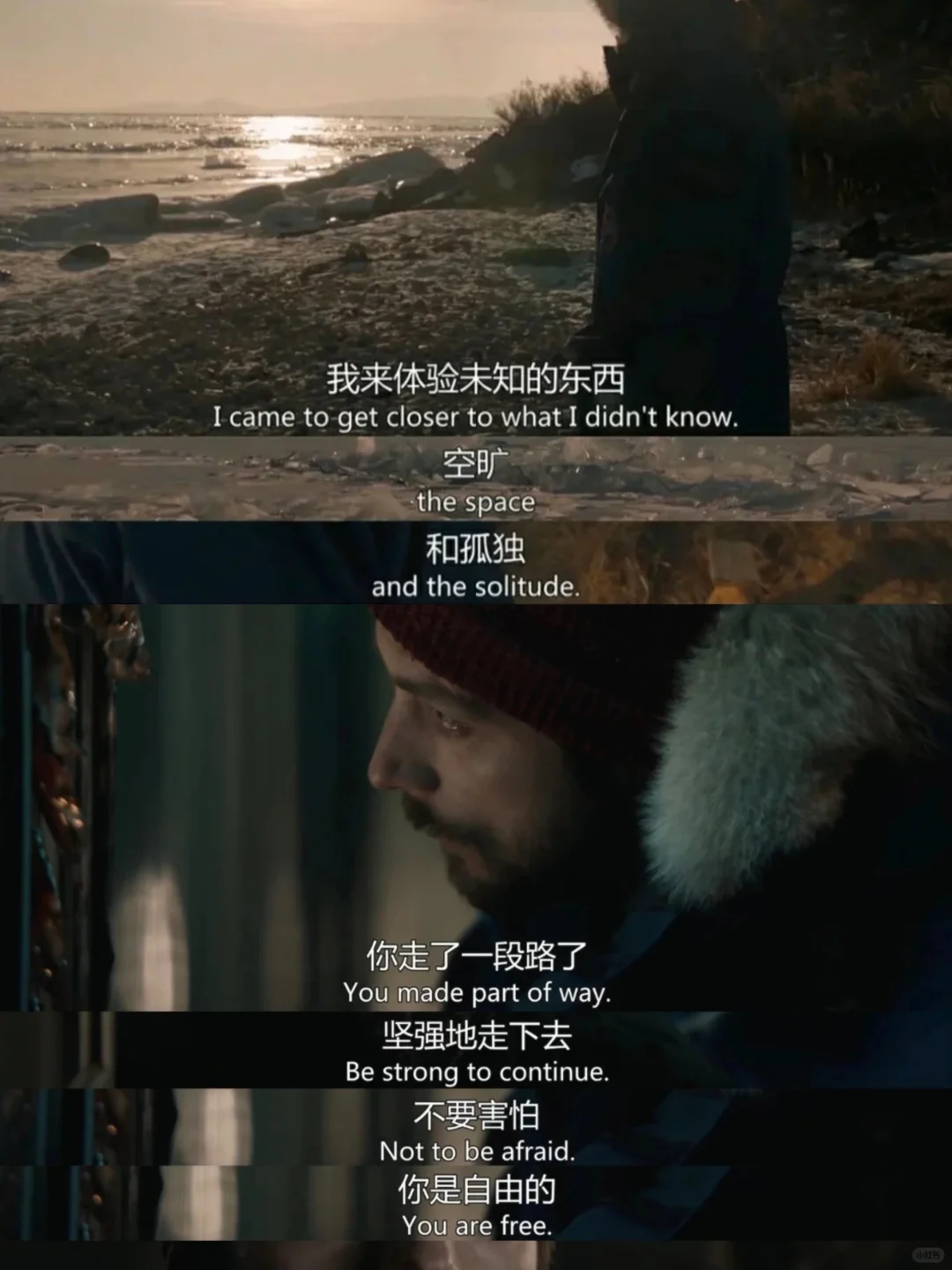 本人最爱的人生电影😭没有之一❗❗❗