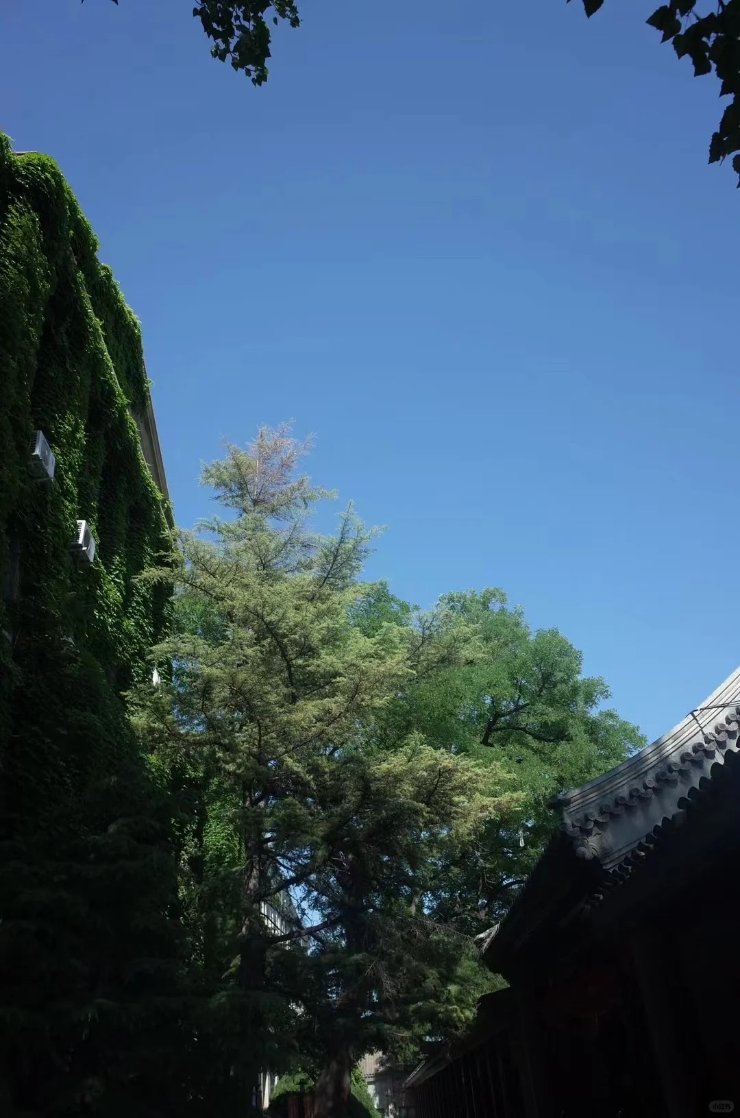 推荐一种生活方式:小妞电影生活法