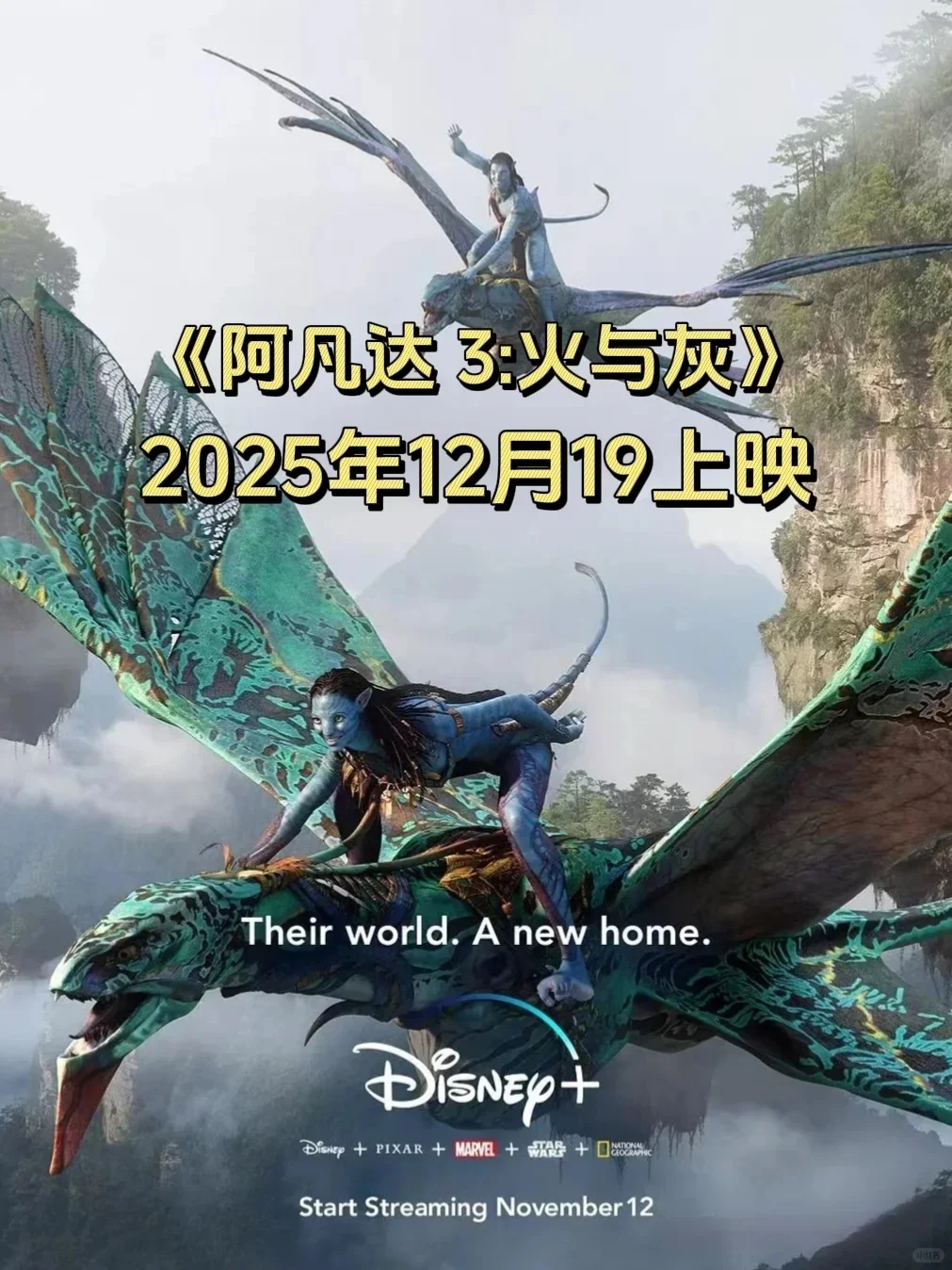 2025年开始，好多超棒的电影即将上映！😎