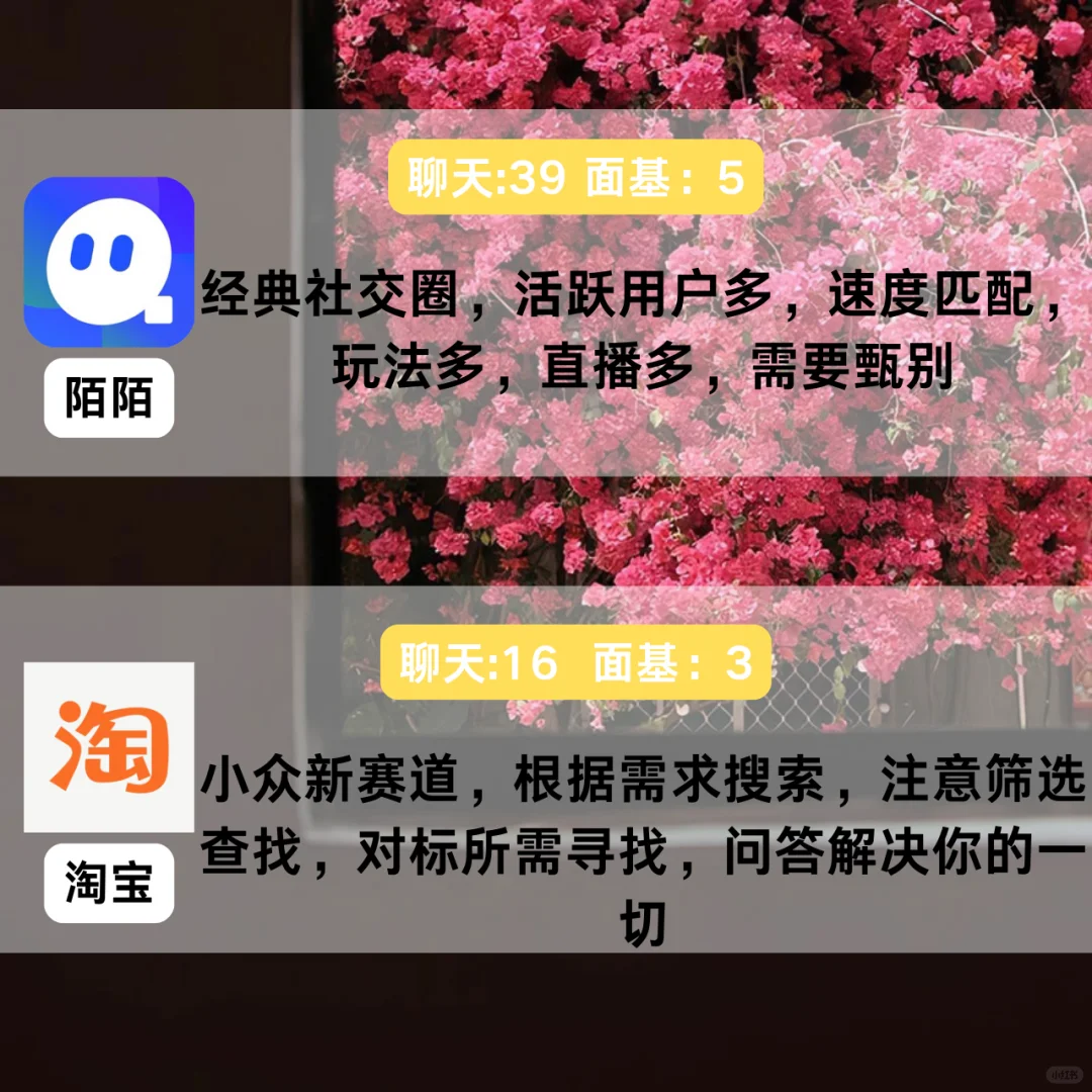 真实社交软件使用感受