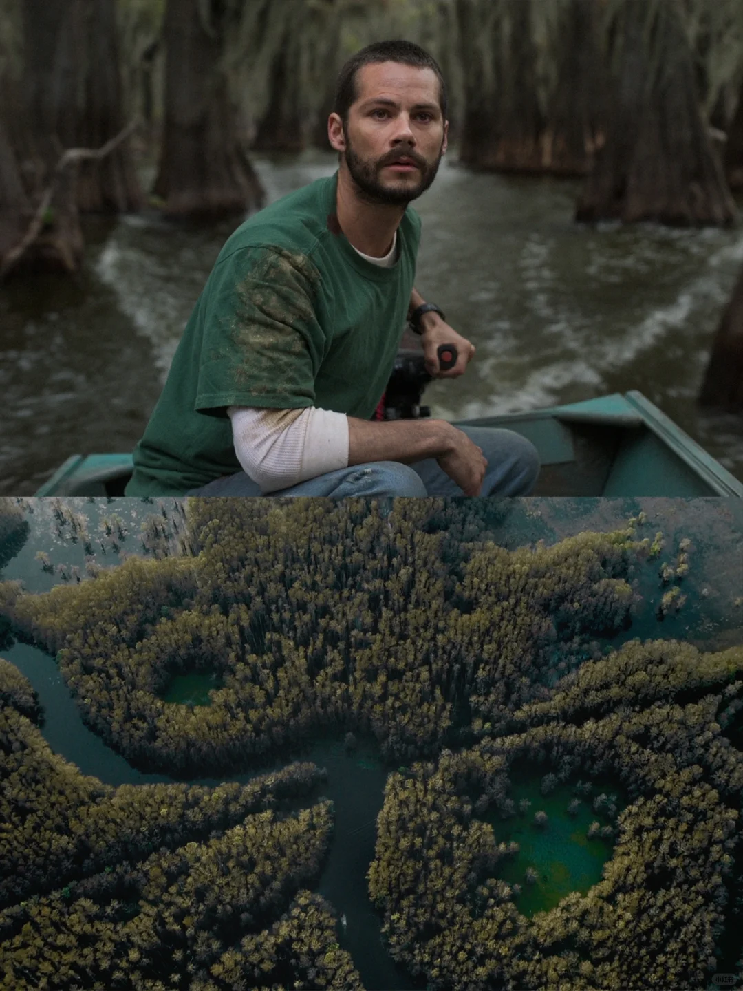 神秘失踪➕超自然《凯多湖的消失》今日上线❗️