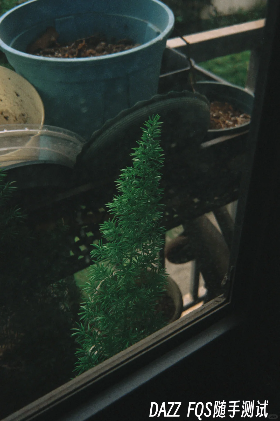 安卓机的悲哀dazz的滤镜为啥没有替代