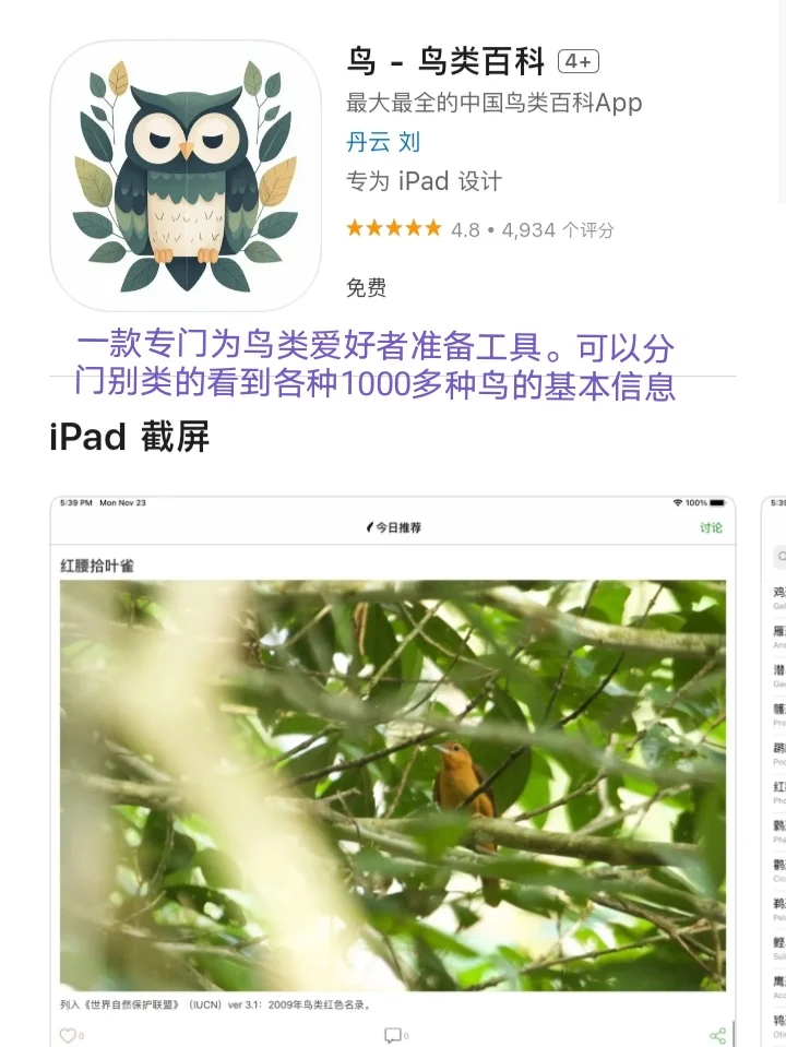 iOS每日限免❤️2024-9-19