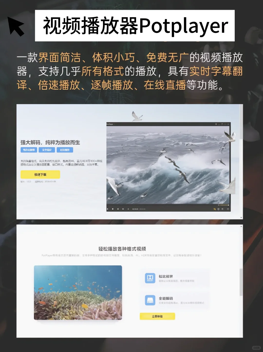 Windows必装八个软件，效率拉满！