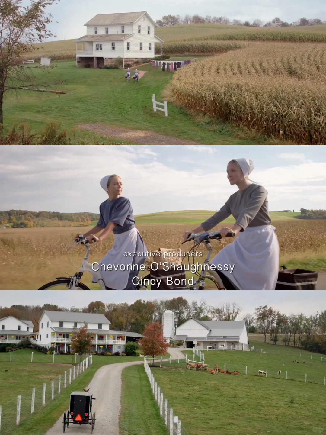 啊啊啊😭这么好看的电影我怎么才发现‼️