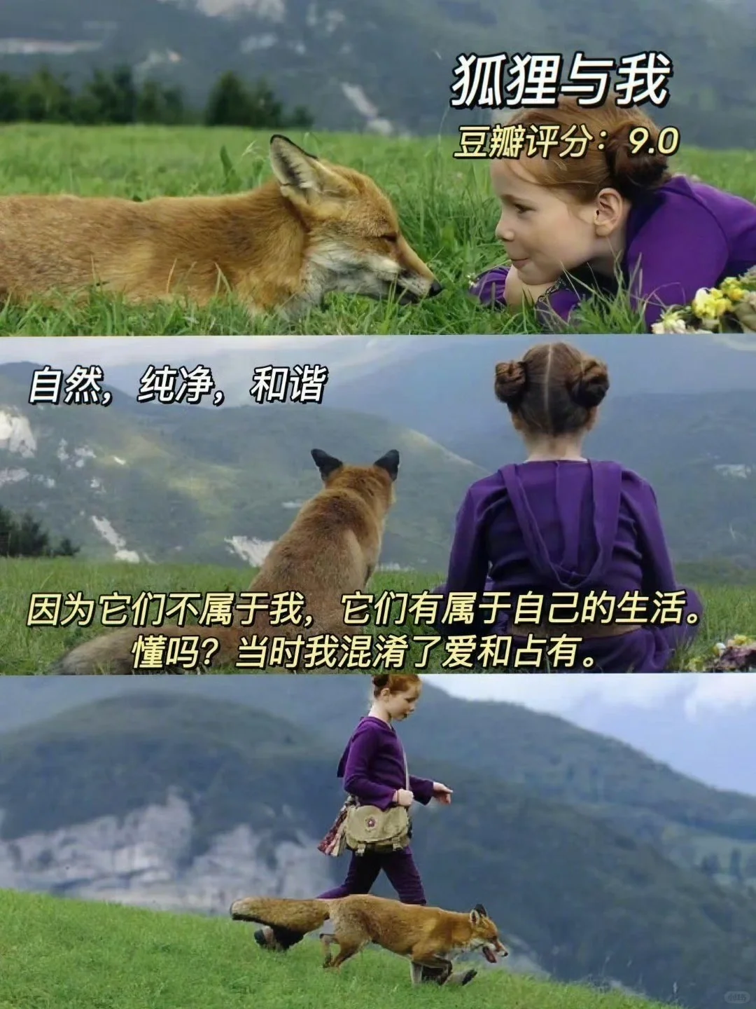 ✨ 容易内耗一定要看的10部治愈系电影