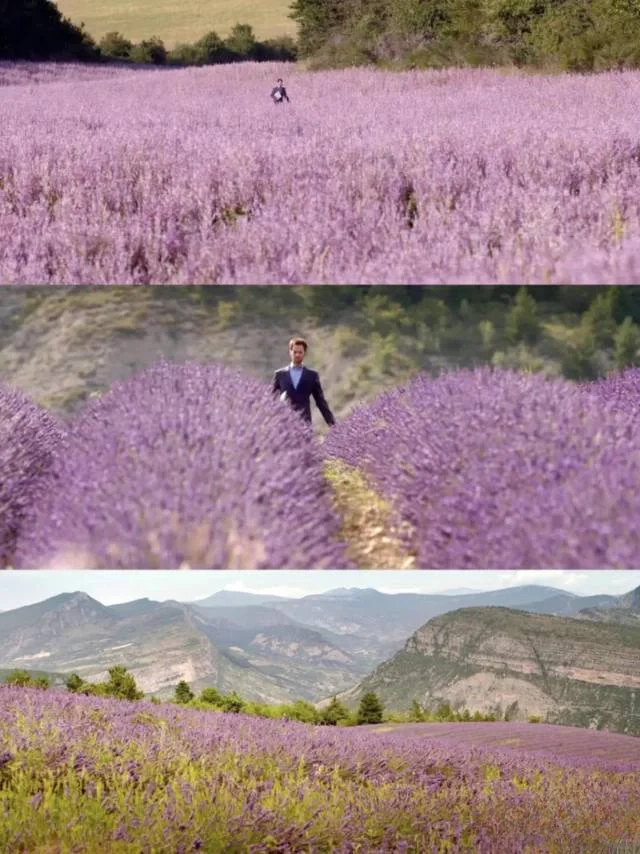 我最最最爱的电影❗❗没有之一❗❗