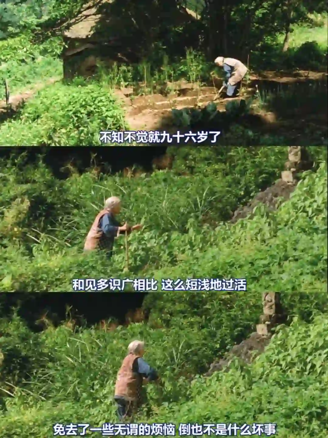 🔥️内耗时都去看这部电影😭️巨治愈❗