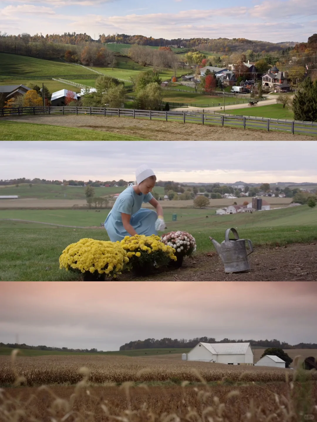 啊啊啊😭这么好看的电影我怎么才发现‼️