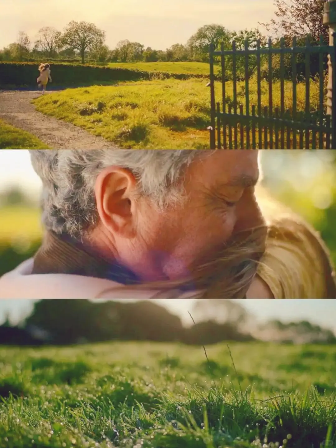 近期看过最好看的电影‼️没有之一❗❗❗