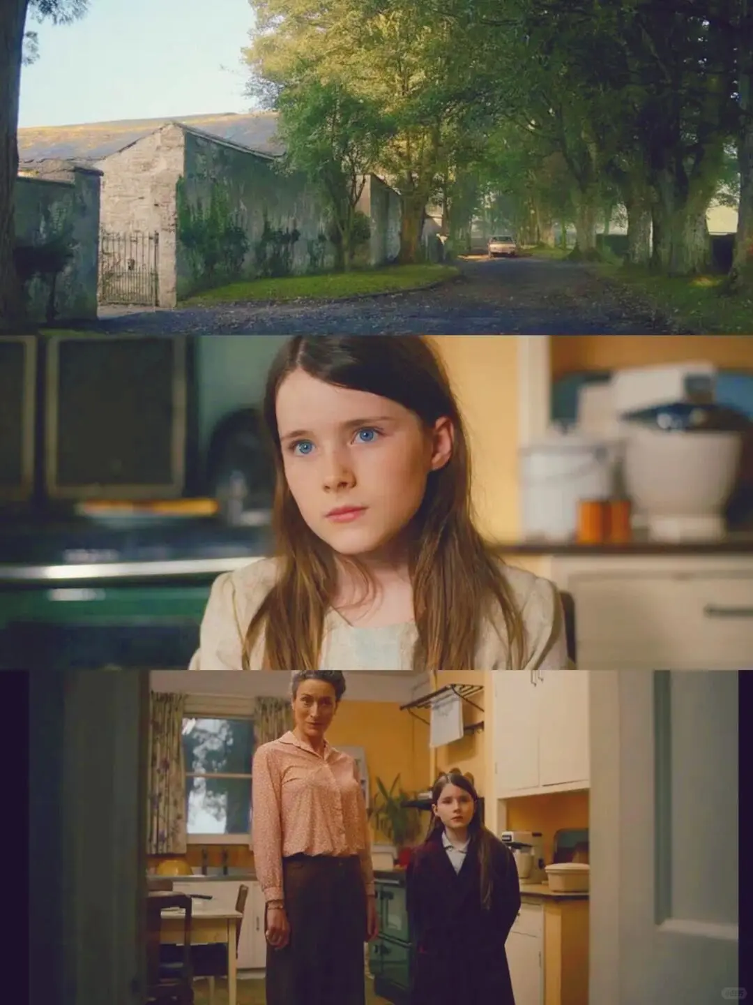 近期看过最好看的电影‼️没有之一❗❗❗