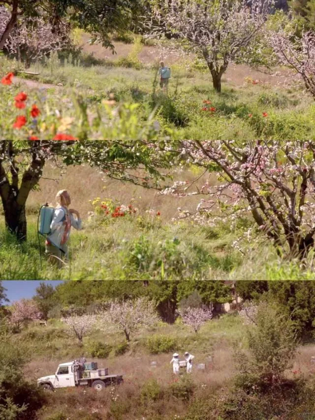 我最最最爱的电影❗❗没有之一❗❗