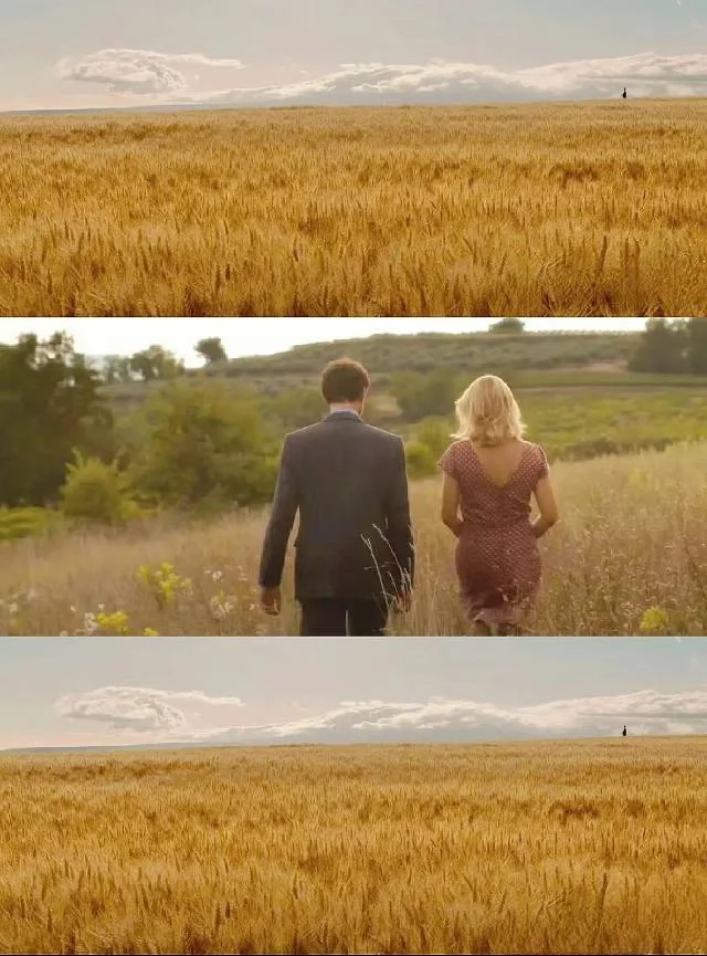 我最最最爱的电影❗❗没有之一❗❗