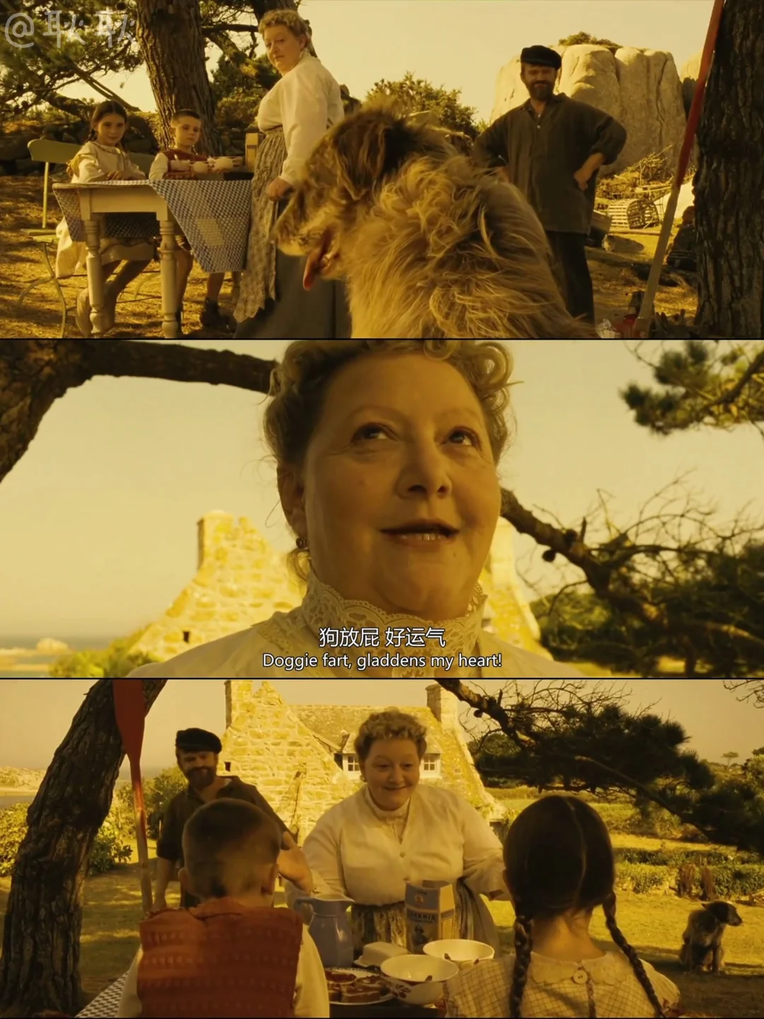 啊啊啊绝了😭法式浪漫文艺片的天花板‼️