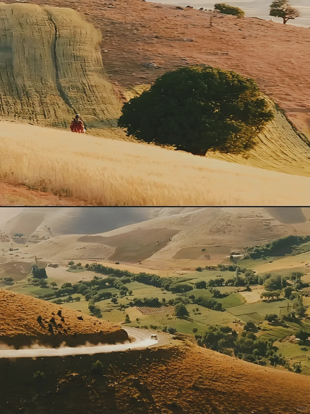 😭好后悔现在才看,不愧是大师神作❗️❗