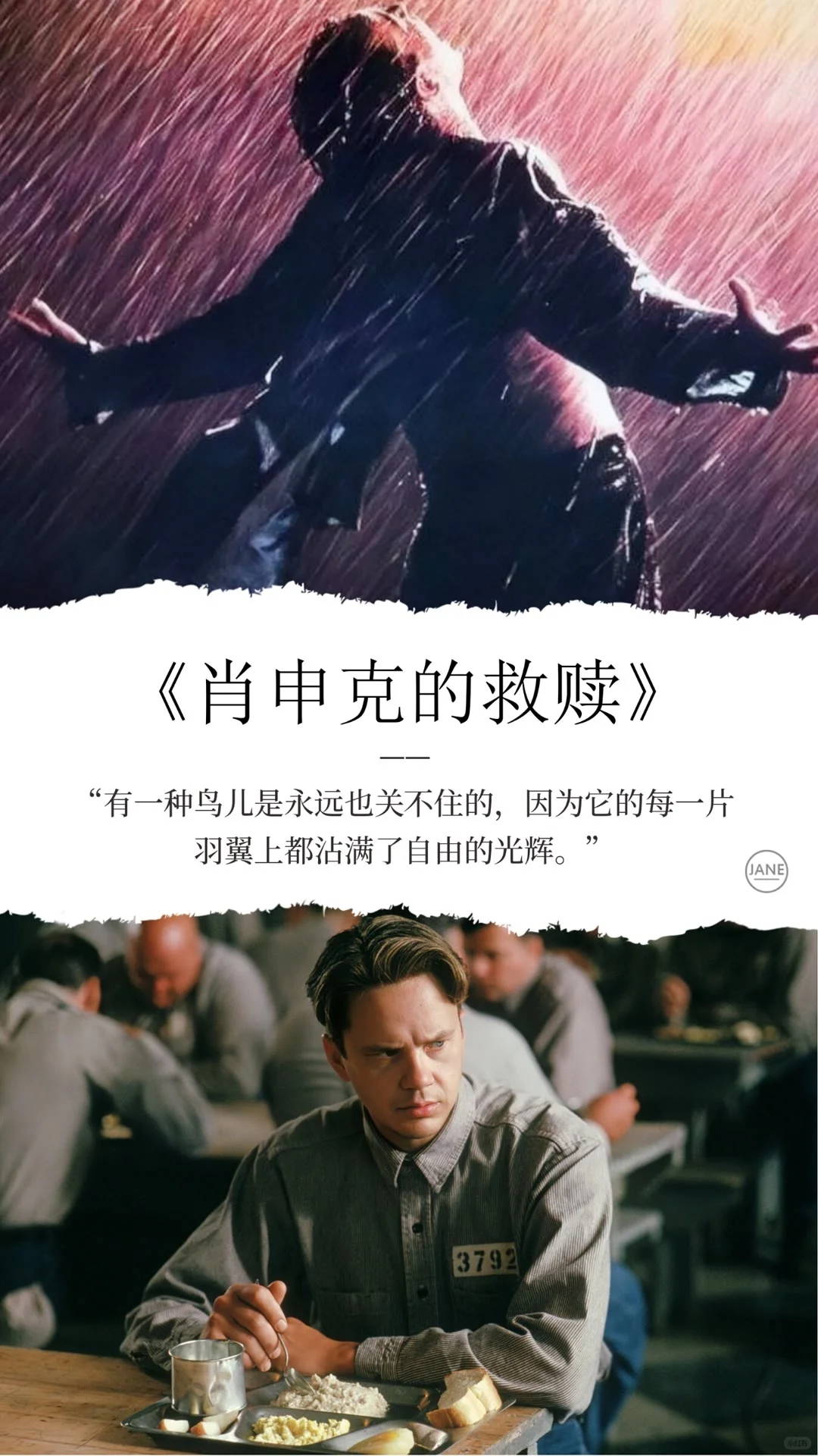 推荐几部非常治愈的高分电影❗️❗️❗️