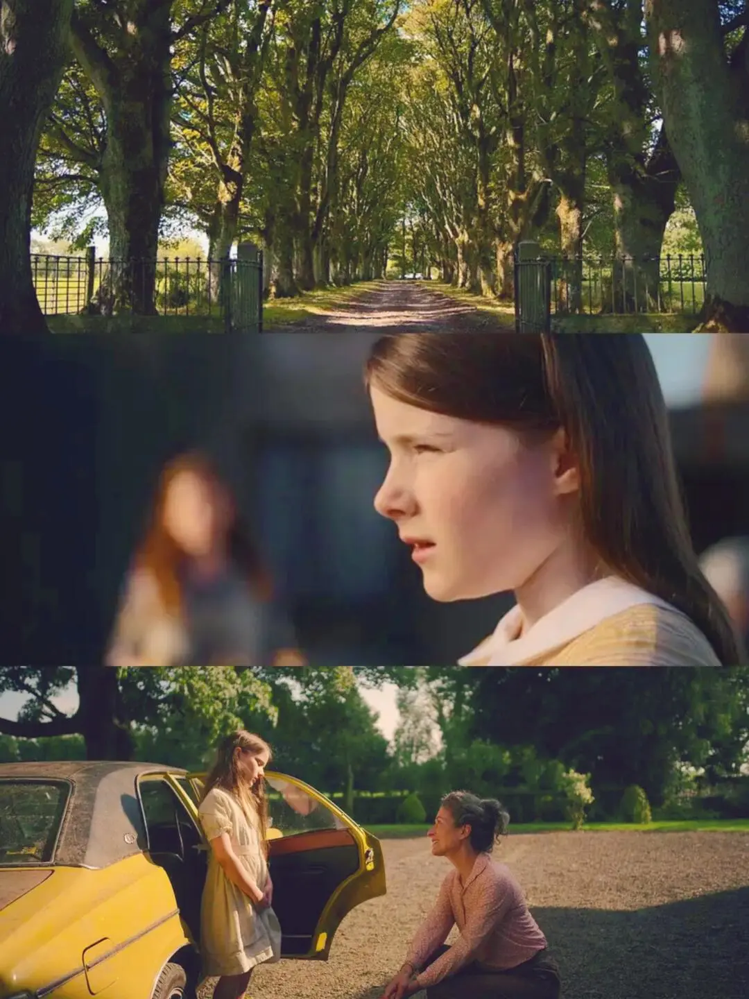 近期看过最好看的电影‼️没有之一❗❗❗