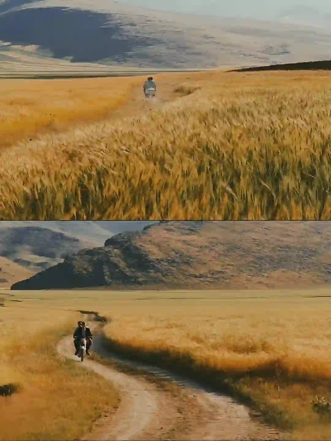 😭好后悔现在才看,不愧是大师神作❗️❗