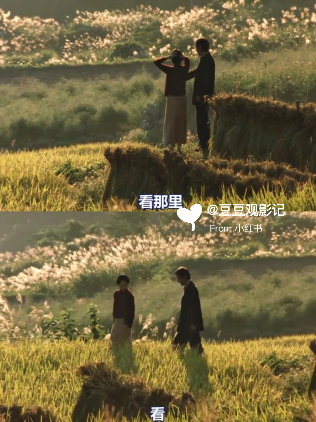 🔥️内耗时都去看这部电影😭️巨治愈❗