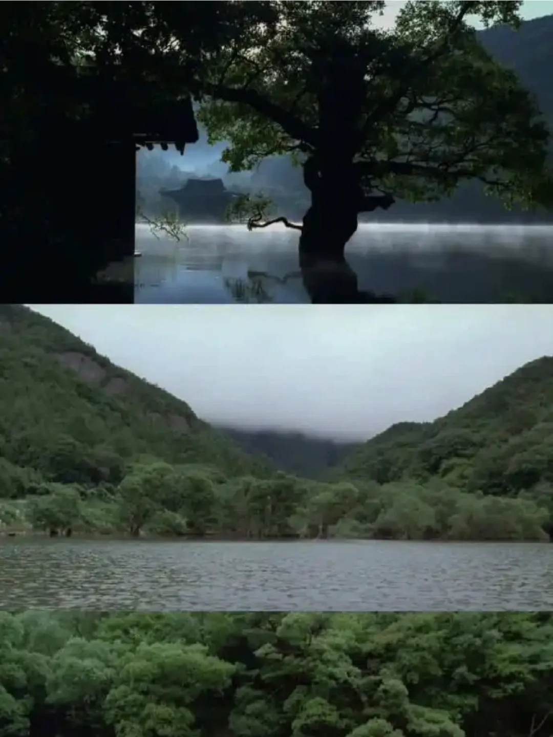 🎬这些提升审美的冷门电影一定要看