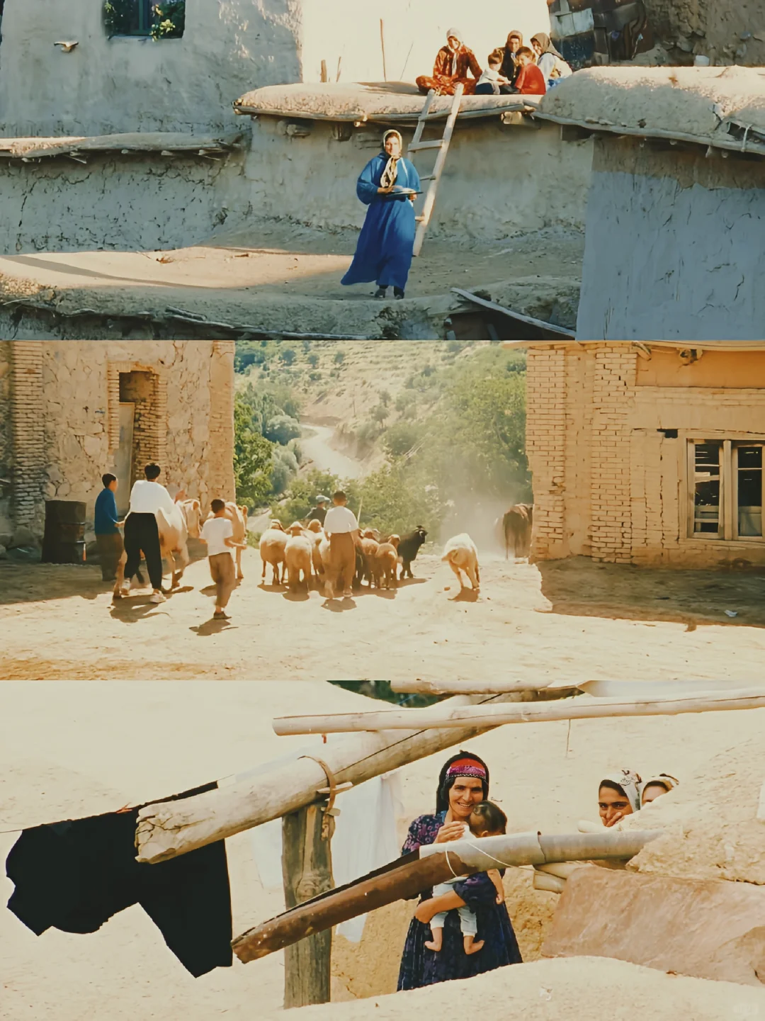 😭好后悔现在才看,不愧是大师神作❗️❗