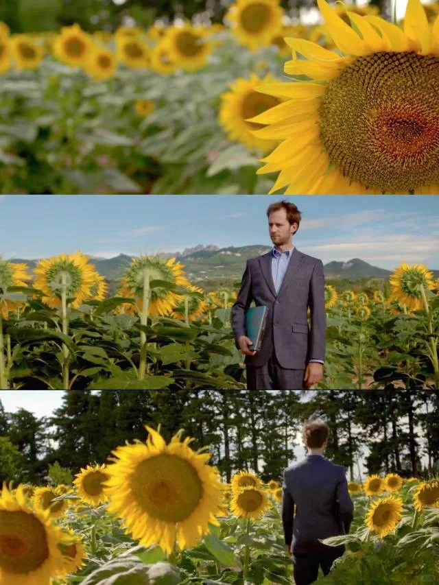 我最最最爱的电影❗❗没有之一❗❗