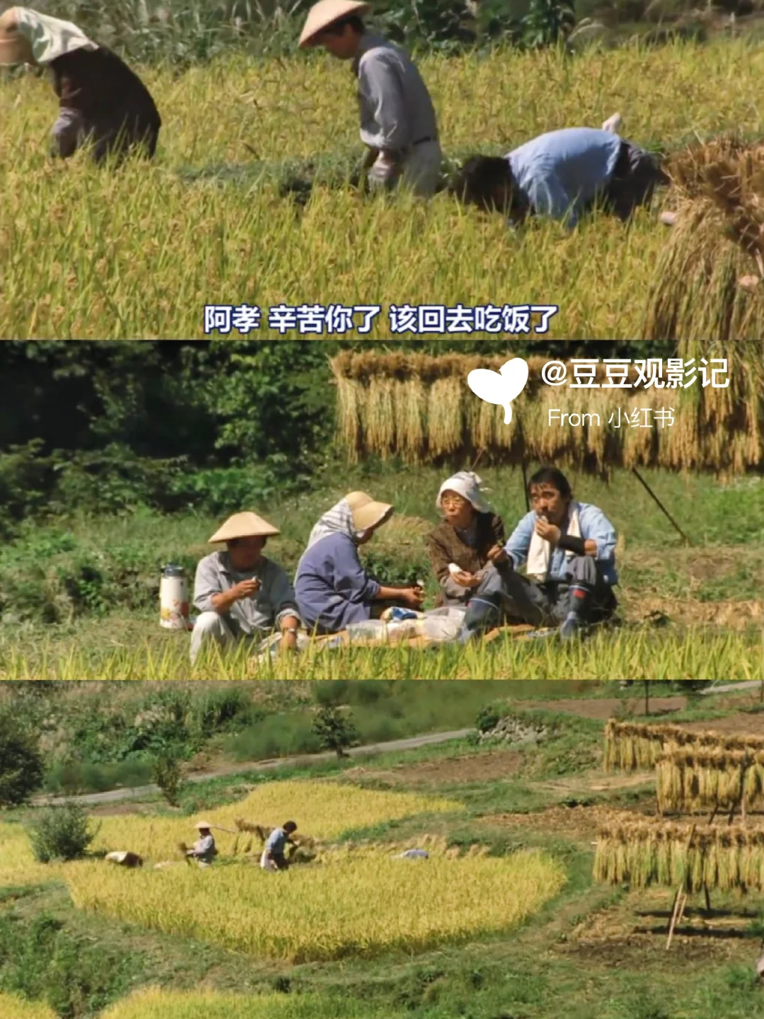 🔥️内耗时都去看这部电影😭️巨治愈❗